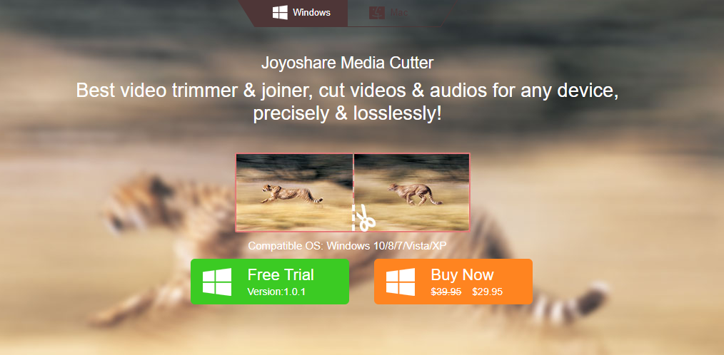 Joyoshare Media Cutter tool