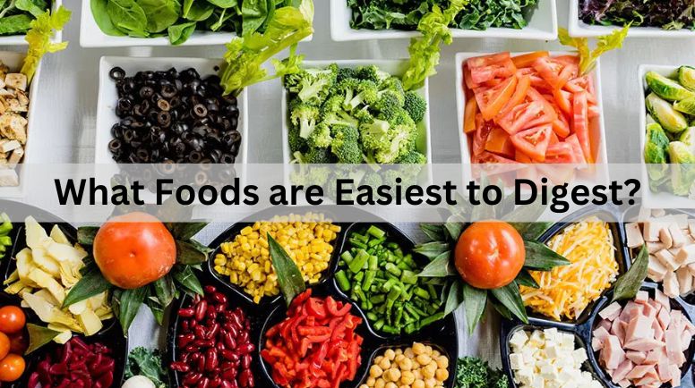 What foods are easiest to digest?
